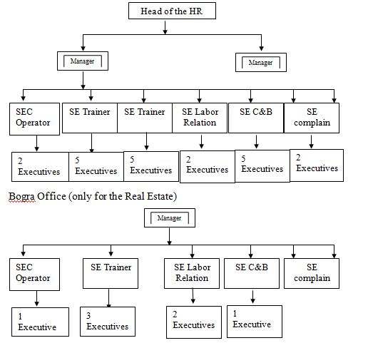 Kmart Organizational Structure Chart