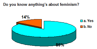 feminism-chart