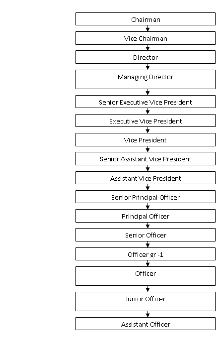 Organizational Hierarchy Chart Of Hbl