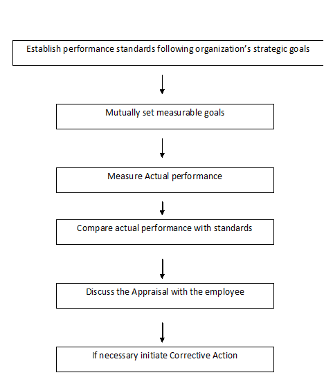 What is an example of an HR performance evaluation?