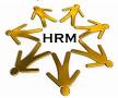 Report on HRM practice System on the Syntho Laboratories Limited