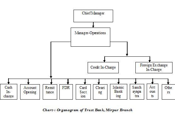 Organizational Hierarchy Chart Of Hbl