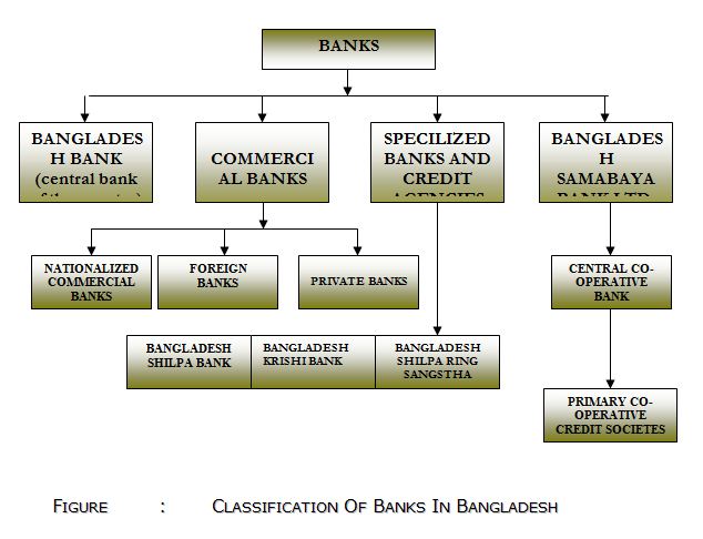 Organizational Hierarchy Chart Of Hbl