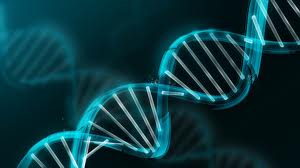 assignment on dna