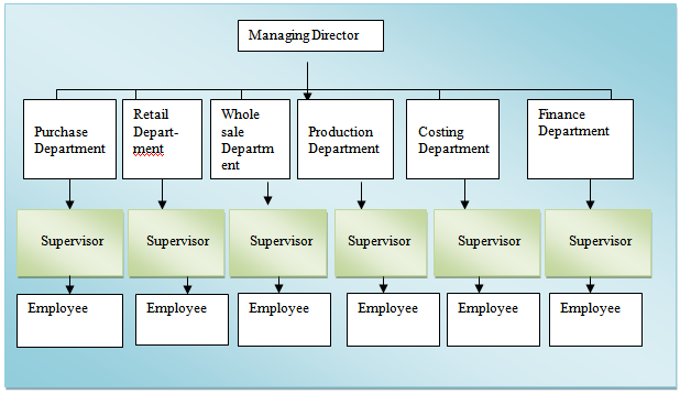 Shoe Company Organizational Chart