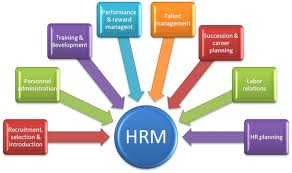 Law dissertation structure