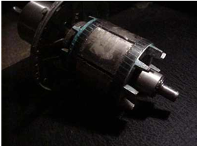 Induction Motor Conversion Alternators