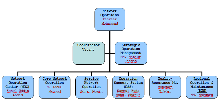 Network Operation Ogranogram