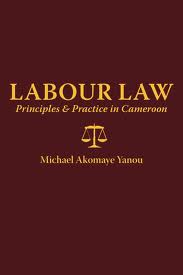 African dissertation on labour