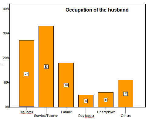 Distribution of the respondents by their husbands’ occupation