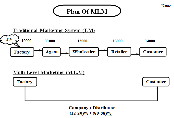 Multi Level Marketing Business Plan Template from www.assignmentpoint.com