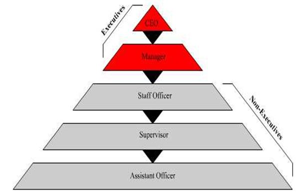 Hsbc Organisational Structure Chart