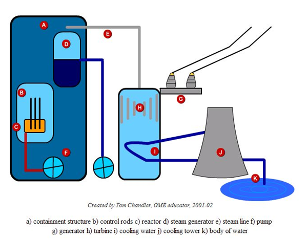 Nuclear power plant essay