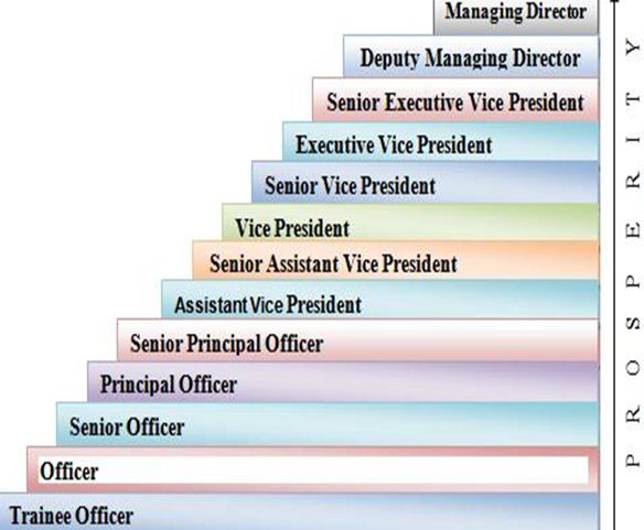 Pvt Ltd Company Designation Chart