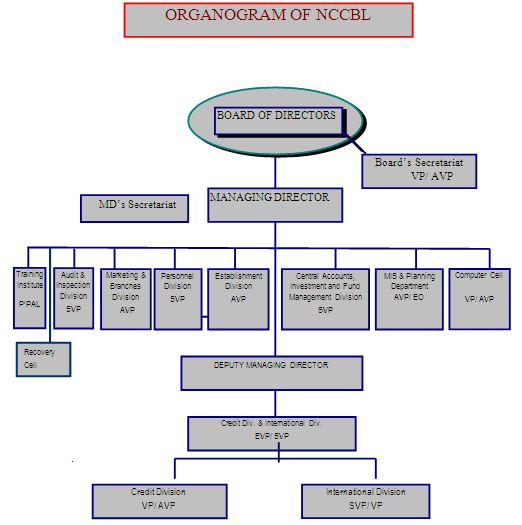 Ncc Organisation Chart