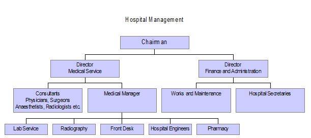 Hospital Management Organizational Chart