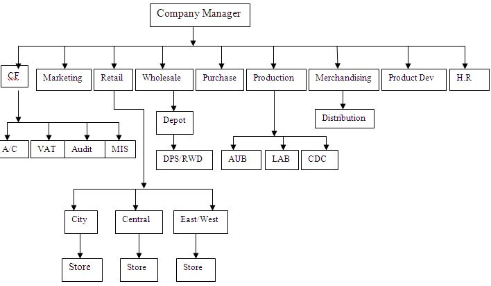 Shoe Company Organizational Chart