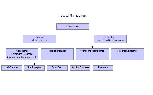 Hospital Management Organizational Chart