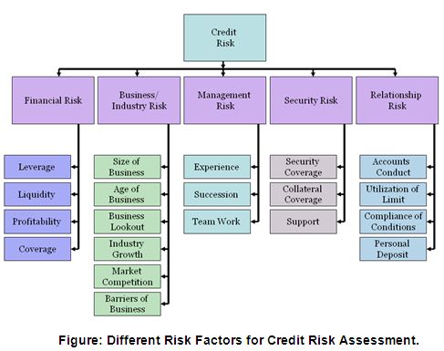 risk credit system management bank limited process grading assignment business