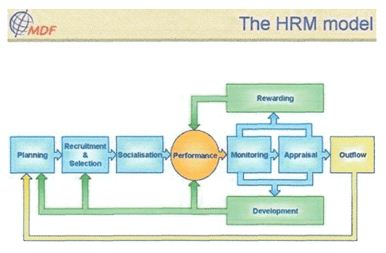 Free dissertation on human resource management