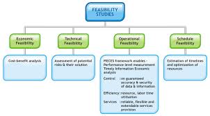 feasibility study analysis system proposal services assignment point consultants