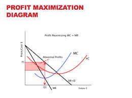 profit maximization explain revenue monopoly maximize point diagram firm economics strategy quantity assignment price rather than happen solution assignmentpoint bryan
