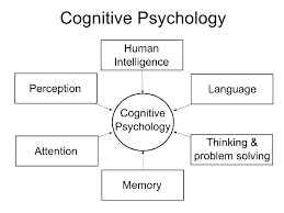 cognitive psychology definition
