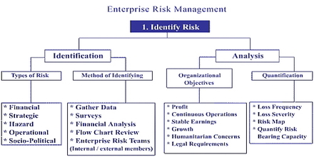 Dissertation on enterprise risk management