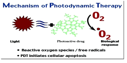 Phd photodynamic therapy thesis