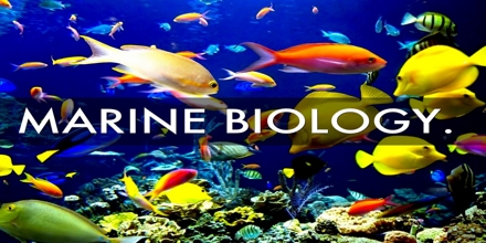 biology marine assignment point assignmentpoint