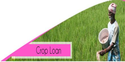 Image result for crop loans