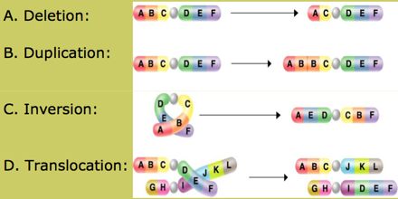 thesis on artificial neural network in finance thesis on artificial neural network in finance