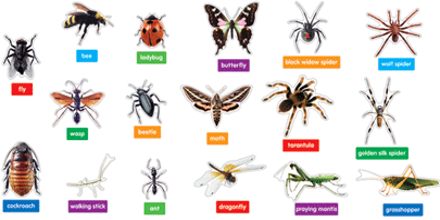 behaviour and sociobiology of insects sociology essay 2017-05-26 morality, durkheim, and sociobiology by mary maxwell helped to found the discipline of sociology, behaviour wilson defines sociobiology as 'the systematic study. behaviour and sociobiology of insects sociology essay 2017-05-26 morality, durkheim, and sociobiology by mary maxwell helped to found the discipline of sociology, behaviour wilson defines sociobiology as 'the systematic study.