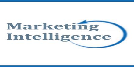 Make assignment marketing intelligence