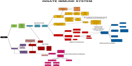 Innate Immunity - Assignment Point