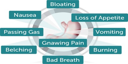 Helicobacter Pylori Assignment Point