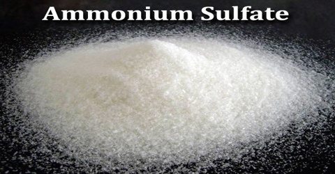 ammonium sulphate