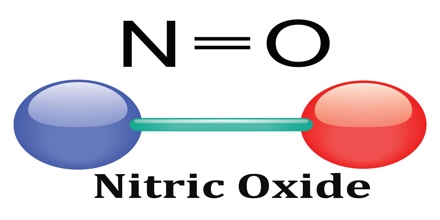 Nitric Oxide What is It Does it Really Work
