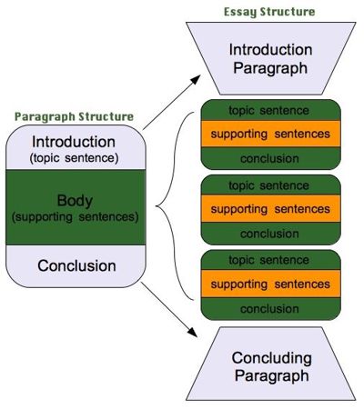 Dissertation organizational structure