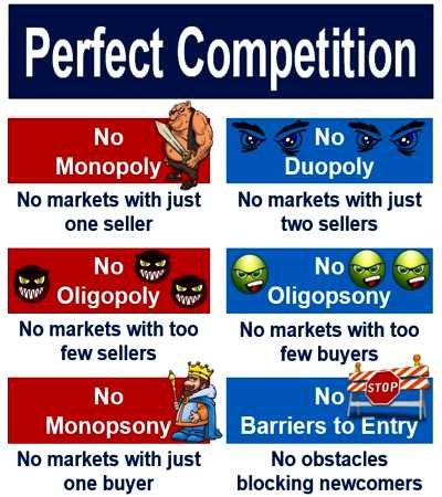 perfect competition market examples economics