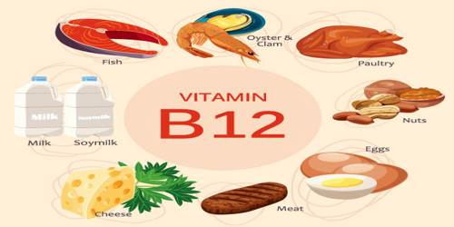 B 12 vitamin foods