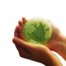 Assignment On Differences Between International And Domestic Business Assignment Point