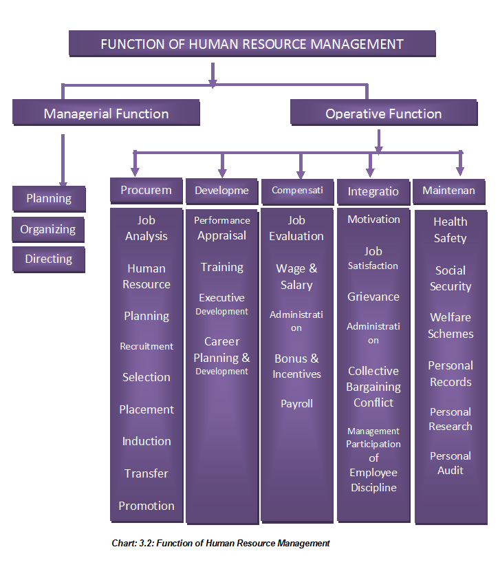 Functions of Human resource Management. Функции Human resources. Functions of HR Department. HRM (Human resource Management).