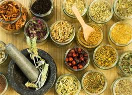 Image result for indigenous medicine