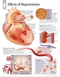 can ace inhibitors cause hypertension