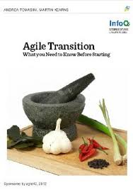 Why Agile Transitions Fail