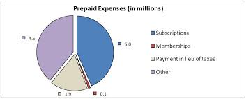 Discuss and Analysis on Prepaid Expenses
