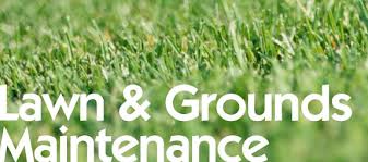 Describe On Lawn Care Maintenance Company – For Total Renovation
