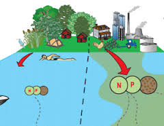 Discuss on Nutrient Pollution Consequences in Water