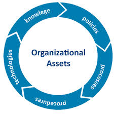 Organizational Policies